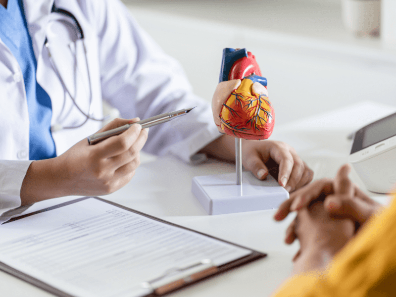 Cardiology doctor with a model heart 